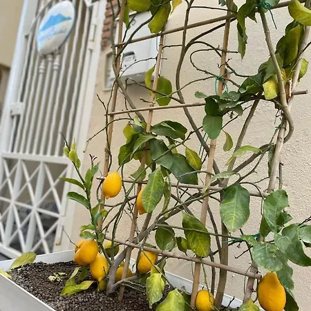 Lemon Gaudio - Holiday Pompeji